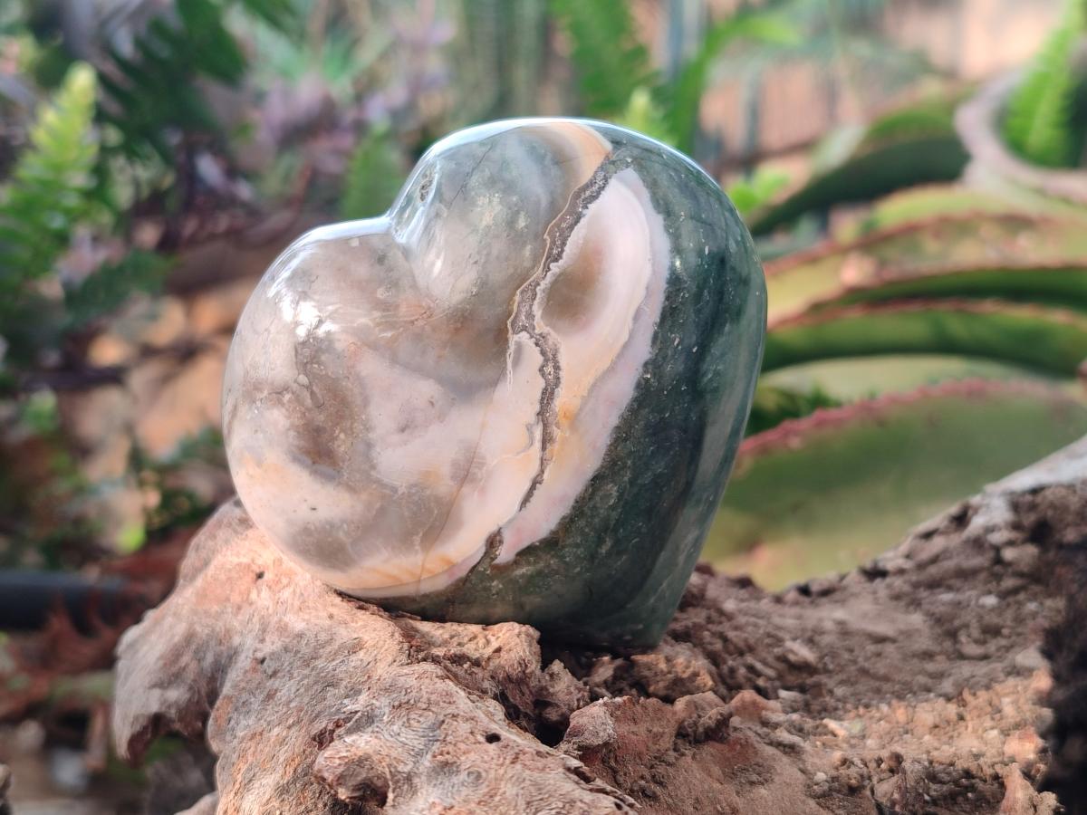 Polished Ocean Jasper Hearts x 6 From Northwest Coast, Madagascar