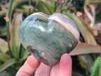 Polished Ocean Jasper Hearts x 6 From Northwest Coast, Madagascar