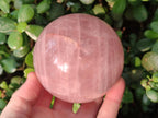 Polished Gemmy Rose Quartz Spheres x 3 From Madagascar