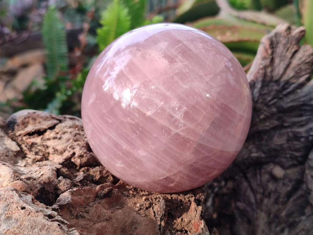 Polished Gemmy Rose Quartz Spheres x 3 From Madagascar