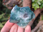 Natural Green Cubic Fluorite Specimens x 12 From Mandrosonoro, Madagascar