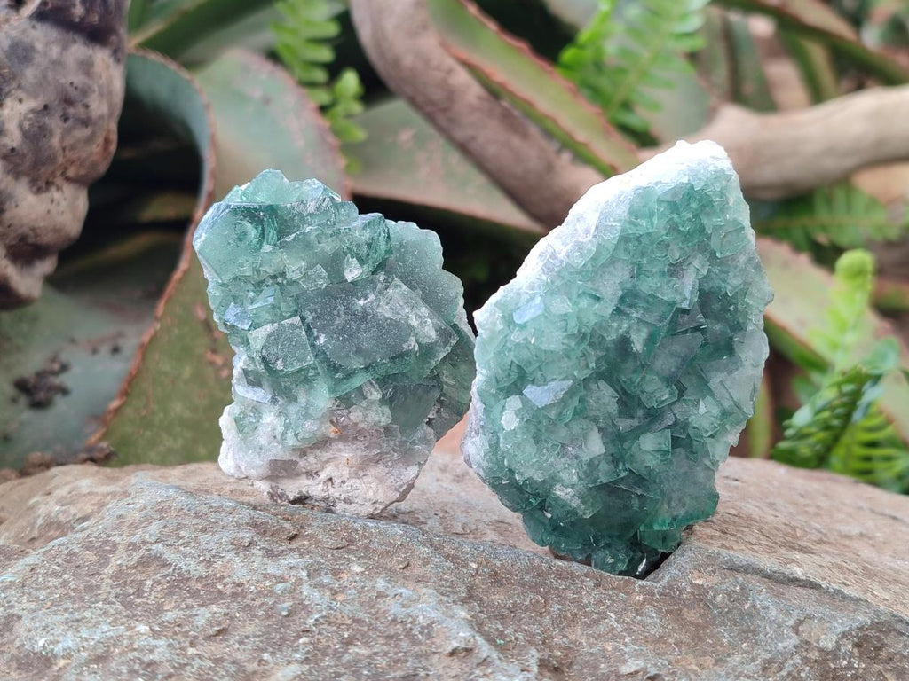 Natural Green Cubic Fluorite Specimens x 12 From Mandrosonoro, Madagascar