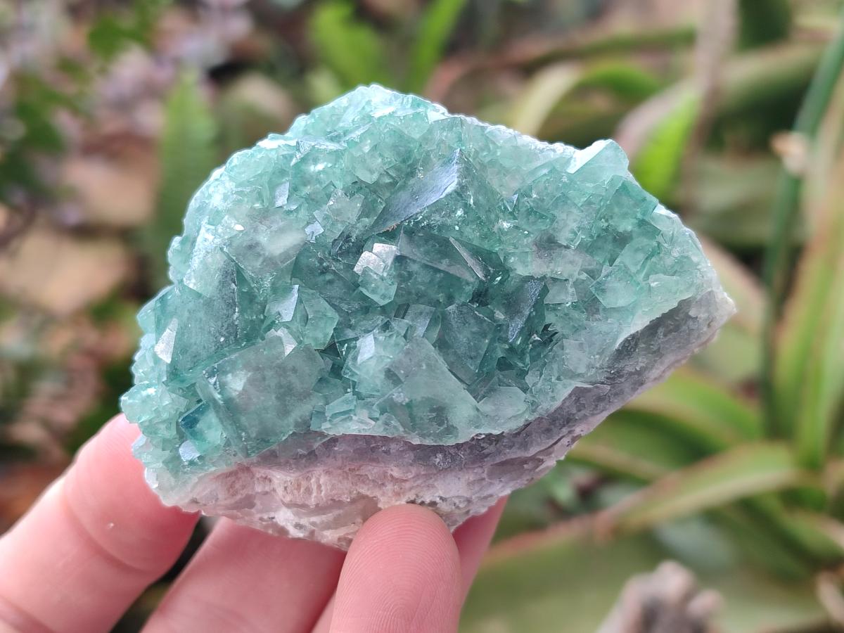 Natural Green Cubic Fluorite Specimens x 12 From Mandrosonoro, Madagascar