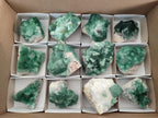 Natural Green Cubic Fluorite Specimens x 12 From Mandrosonoro, Madagascar