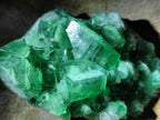 Natural Green Cubic Fluorite Specimens x 12 From Mandrosonoro, Madagascar