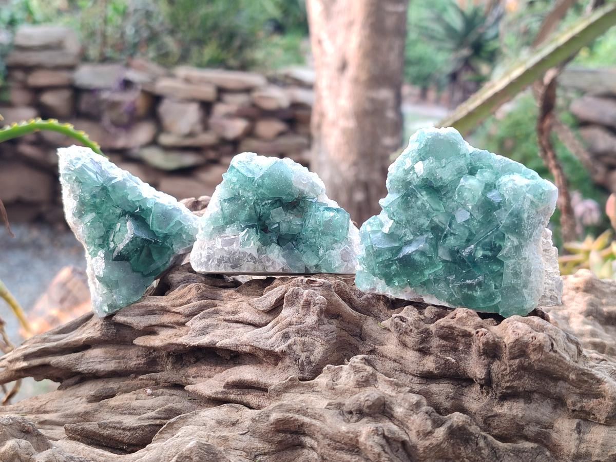 Natural Green Cubic Fluorite Specimens x 12 From Mandrosonoro, Madagascar