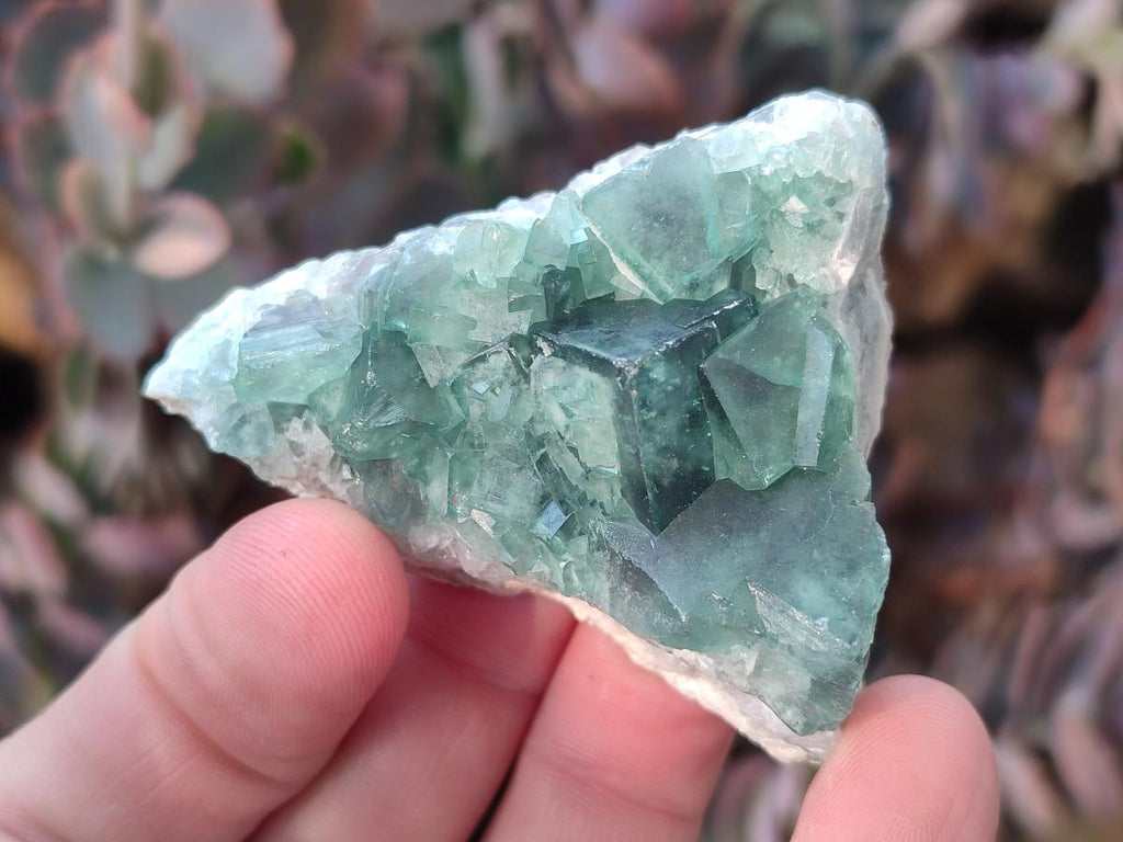 Natural Green Cubic Fluorite Specimens x 12 From Mandrosonoro, Madagascar