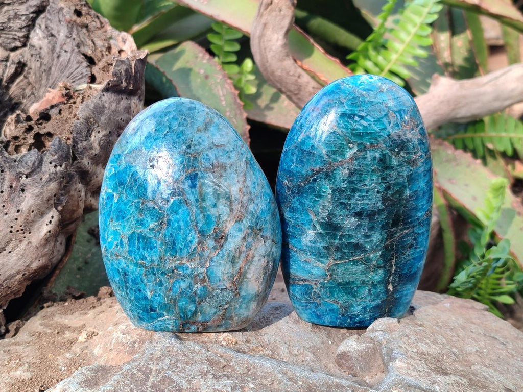 Polished Blue Apatite Standing Display Pieces x 4 From Betroka, Madagascar
