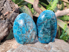 Polished Blue Apatite Standing Display Pieces x 4 From Betroka, Madagascar