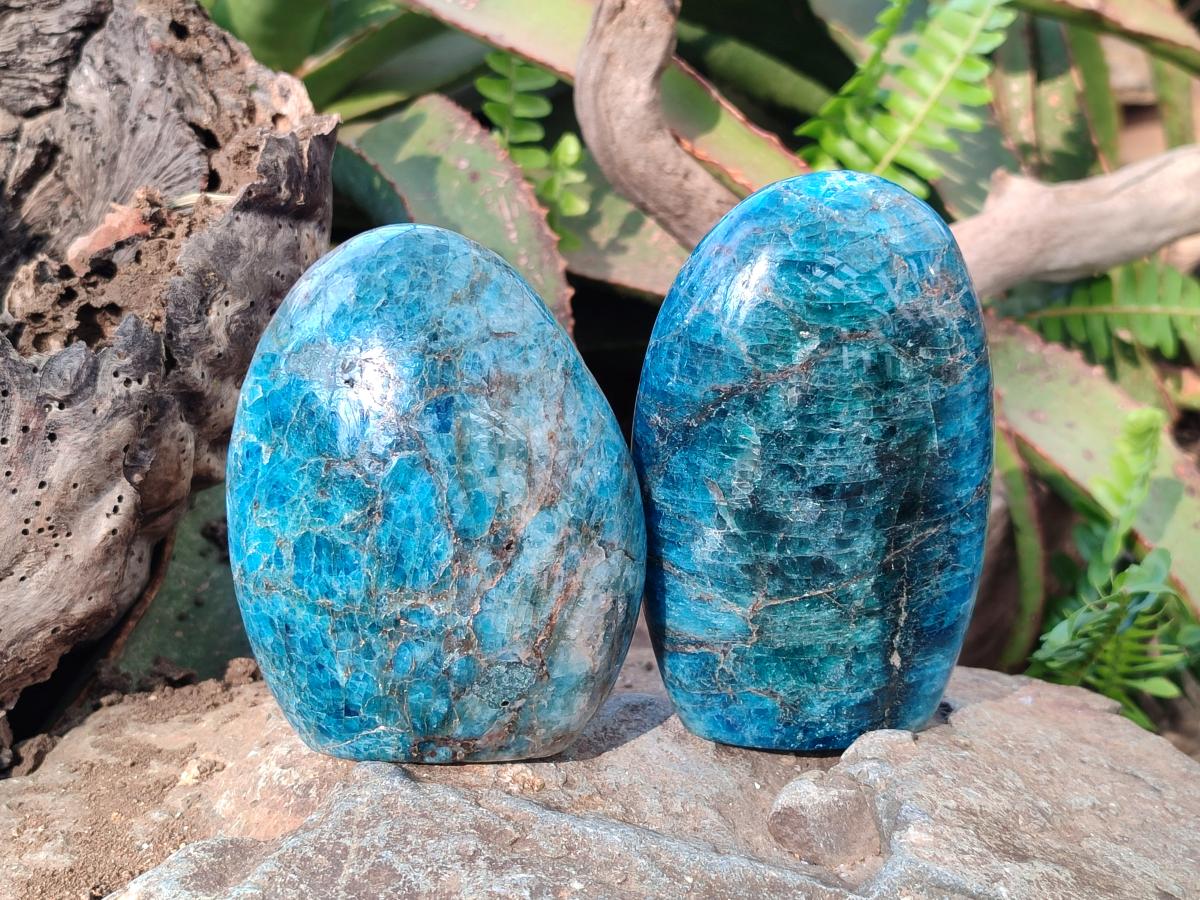 Polished Blue Apatite Standing Display Pieces x 4 From Betroka, Madagascar
