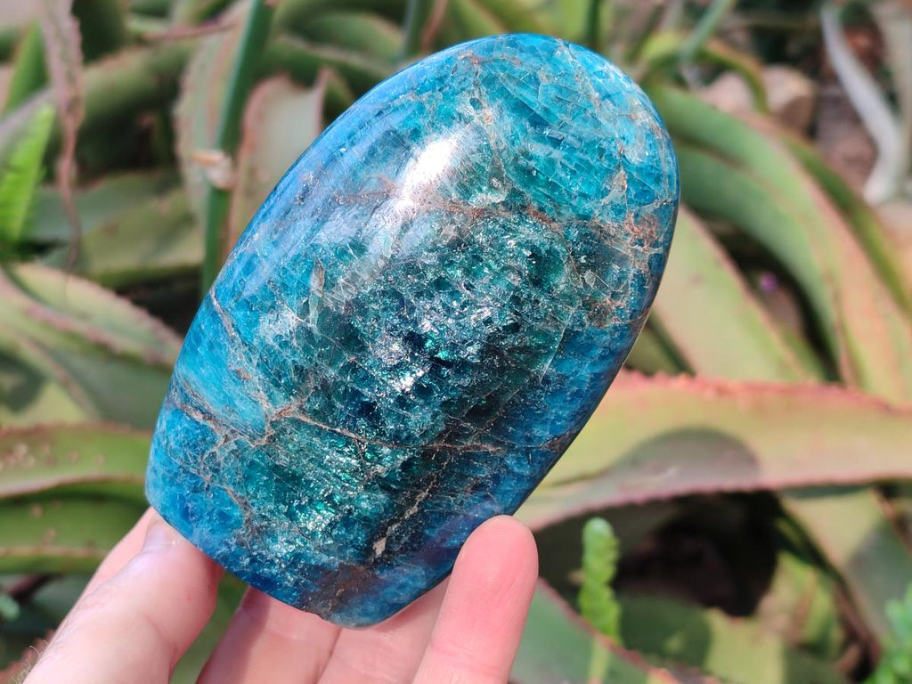 Polished Blue Apatite Standing Display Pieces x 4 From Betroka, Madagascar