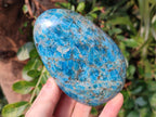 Polished Blue Apatite Standing Display Pieces x 4 From Betroka, Madagascar
