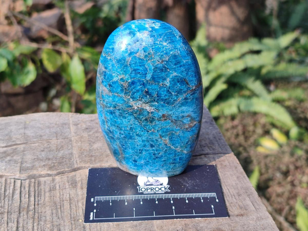 Polished Blue Apatite Standing Display Pieces x 4 From Betroka, Madagascar
