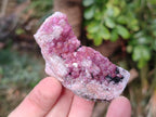 Natural Spherocobaltite Specimens x 12 From Mashamba West Mine, Congo