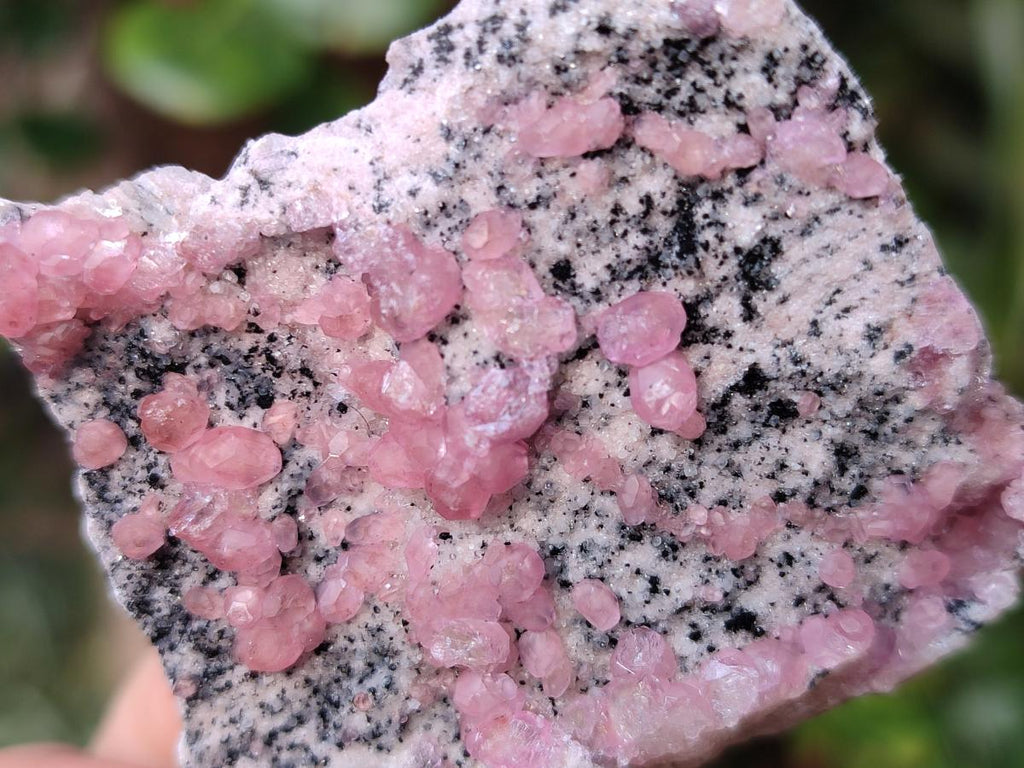 Natural Spherocobaltite Specimens x 12 From Mashamba West Mine, Congo