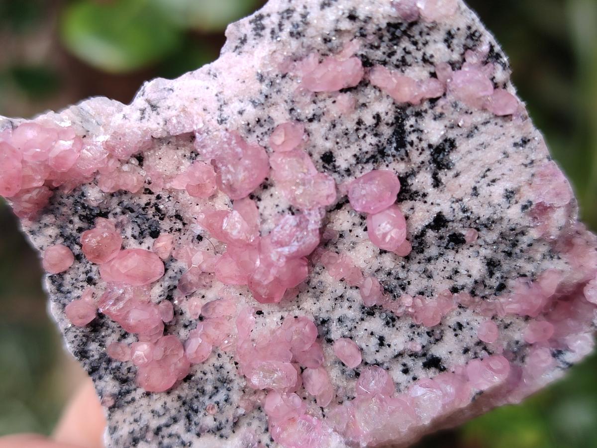 Natural Spherocobaltite Specimens x 12 From Mashamba West Mine, Congo