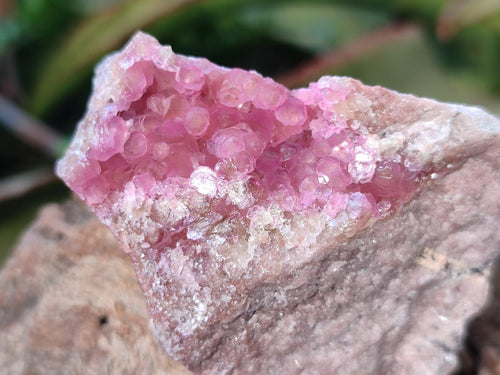 Natural Spherocobaltite Specimens x 12 From Mashamba West Mine, Congo