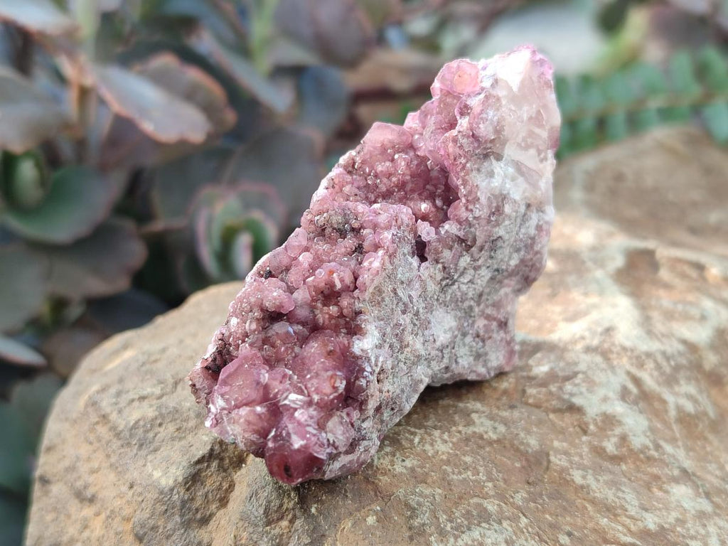 Natural Spherocobaltite Specimens x 12 From Mashamba West Mine, Congo