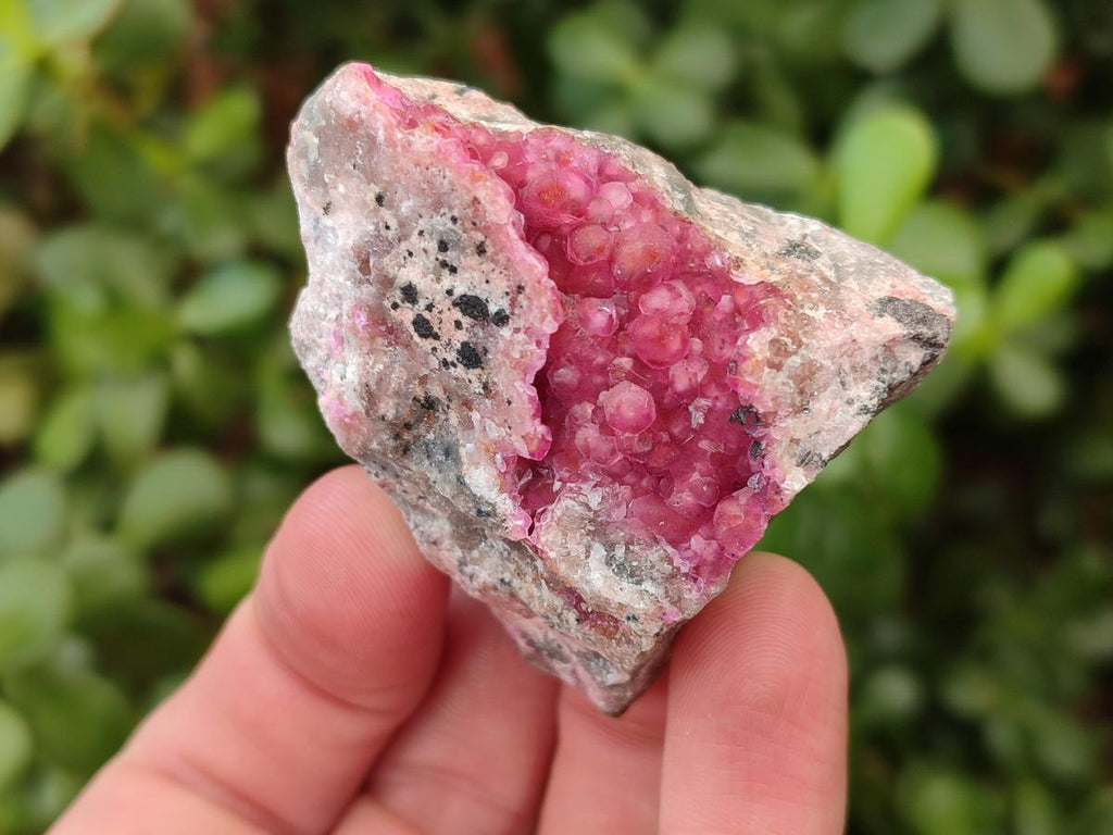 Natural Spherocobaltite Specimens x 12 From Mashamba West Mine, Congo
