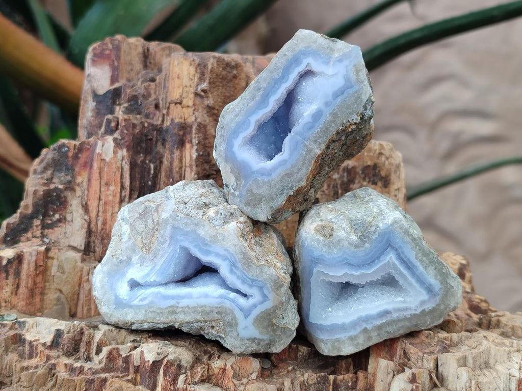 Polished One Side Blue Lace Agate Geodes x 24 From Nsanje, Malawi
