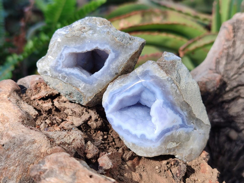 Polished One Side Blue Lace Agate Geodes x 24 From Nsanje, Malawi