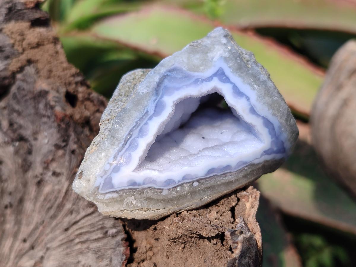 Polished One Side Blue Lace Agate Geodes x 24 From Nsanje, Malawi