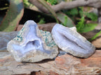 Polished One Side Blue Lace Agate Geodes x 24 From Nsanje, Malawi