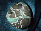 Polished Septerye Slices x 6 From Mahajanga, Madagascar
