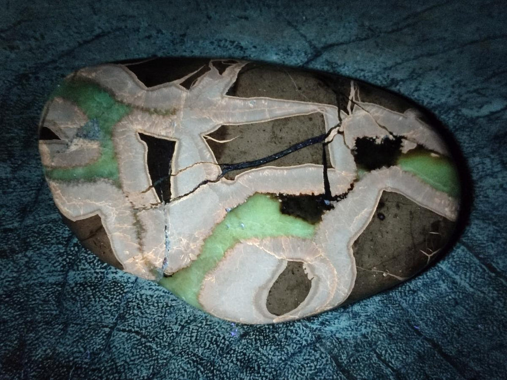 Polished Septerye Slices x 6 From Mahajanga, Madagascar