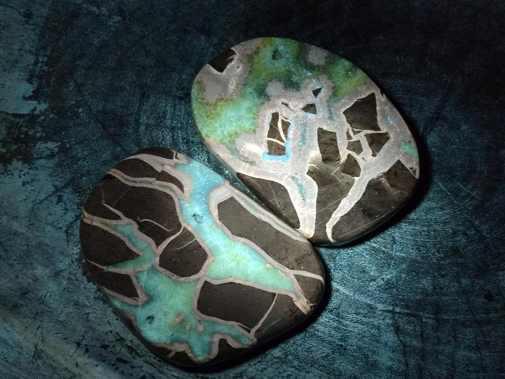 Polished Septerye Slices x 6 From Mahajanga, Madagascar