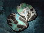 Polished Septerye Slices x 6 From Mahajanga, Madagascar