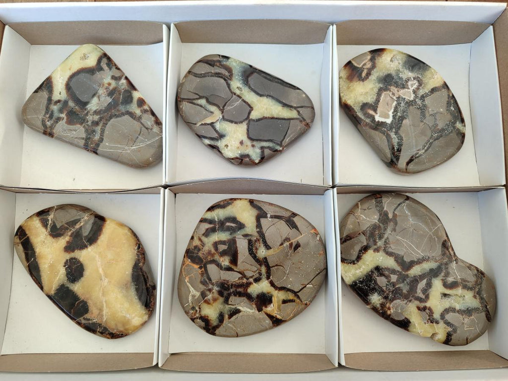 Polished Septerye Slices x 6 From Mahajanga, Madagascar