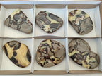 Polished Septerye Slices x 6 From Mahajanga, Madagascar