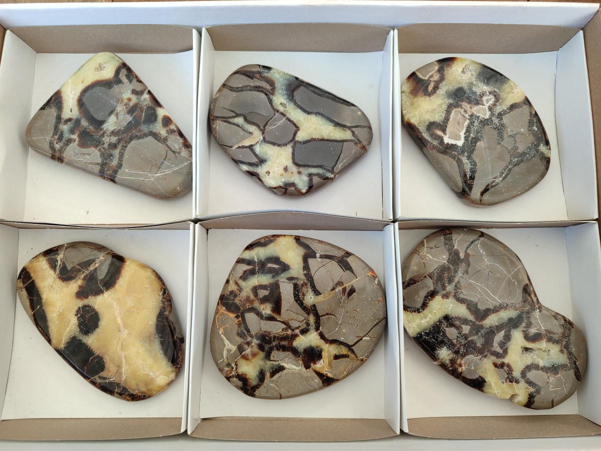 Polished Septerye Slices x 6 From Mahajanga, Madagascar