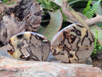 Polished Septerye Slices x 6 From Mahajanga, Madagascar