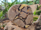 Polished Septerye Slices x 6 From Mahajanga, Madagascar