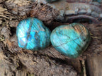 Polished Small Labradorite Hearts x 18 From Madagascar