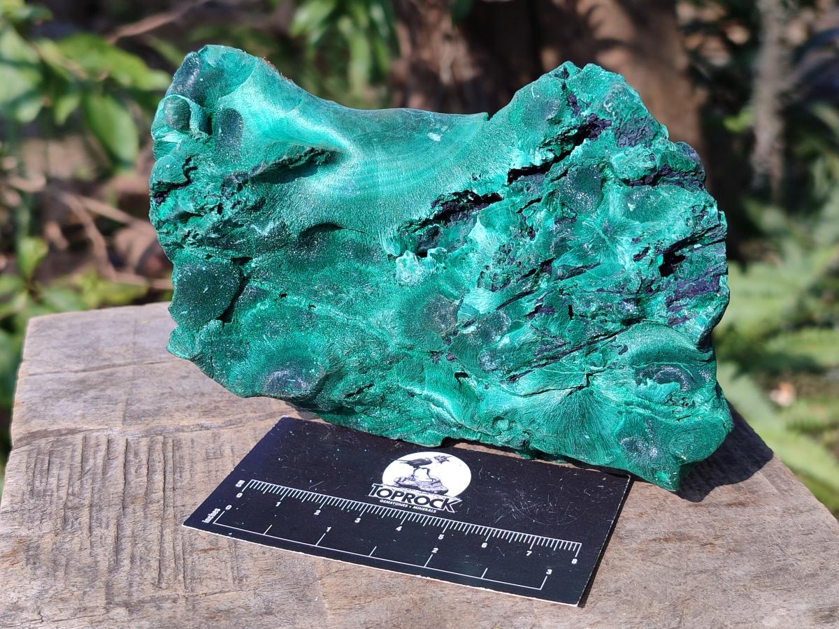 Natural Silky Malachite Specimens x 2 From Kasompe, Congo