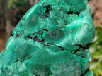 Natural Silky Malachite Specimens x 2 From Kasompe, Congo