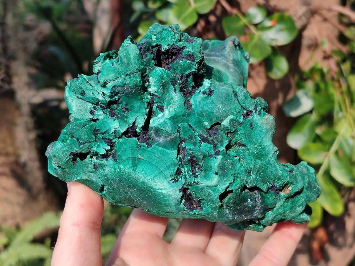 Natural Silky Malachite Specimens x 2 From Kasompe, Congo