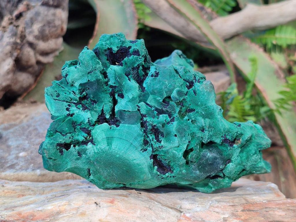 Natural Silky Malachite Specimens x 2 From Kasompe, Congo