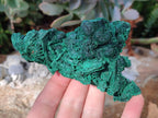 Natural Silky Malachite Specimens x 2 From Kasompe, Congo