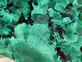 Natural Silky Malachite Specimens x 2 From Kasompe, Congo