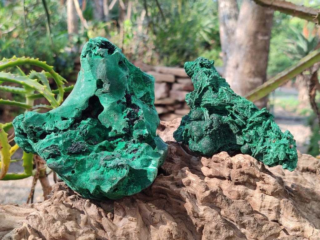 Natural Silky Malachite Specimens x 2 From Kasompe, Congo