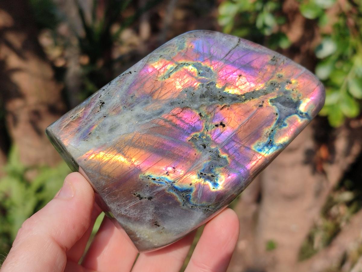 Polished Sunset Labradorite Standing Display Pieces x 3 From Madagascar