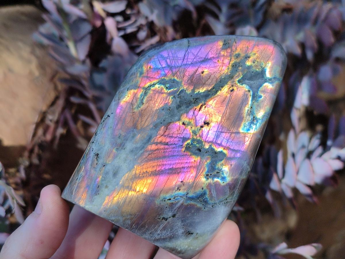 Polished Sunset Labradorite Standing Display Pieces x 3 From Madagascar