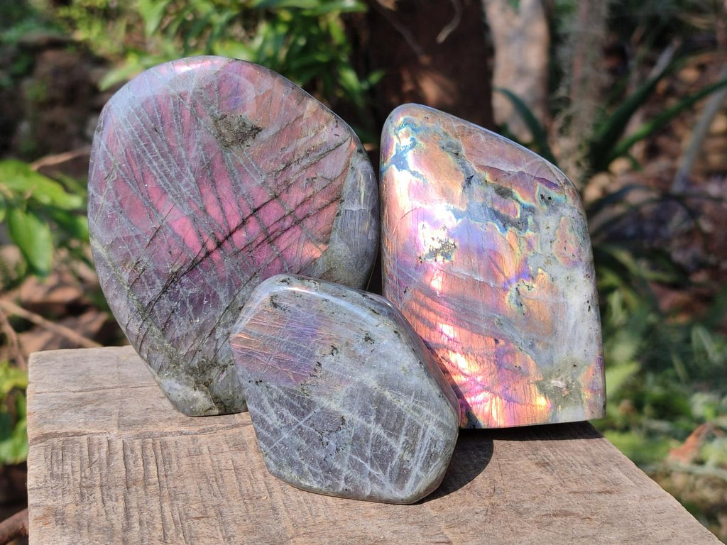 Polished Sunset Labradorite Standing Display Pieces x 3 From Madagascar