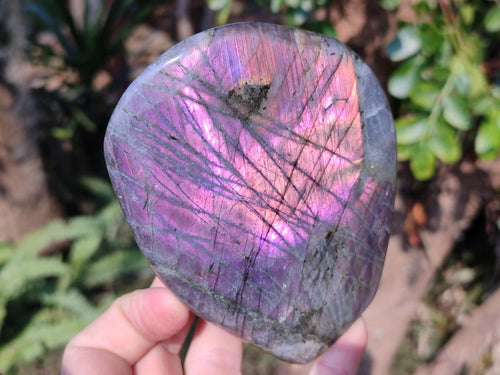 Polished Sunset Labradorite Standing Display Pieces x 3 From Madagascar