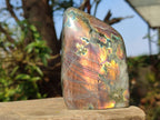 Polished Sunset Labradorite Standing Display Pieces x 3 From Madagascar