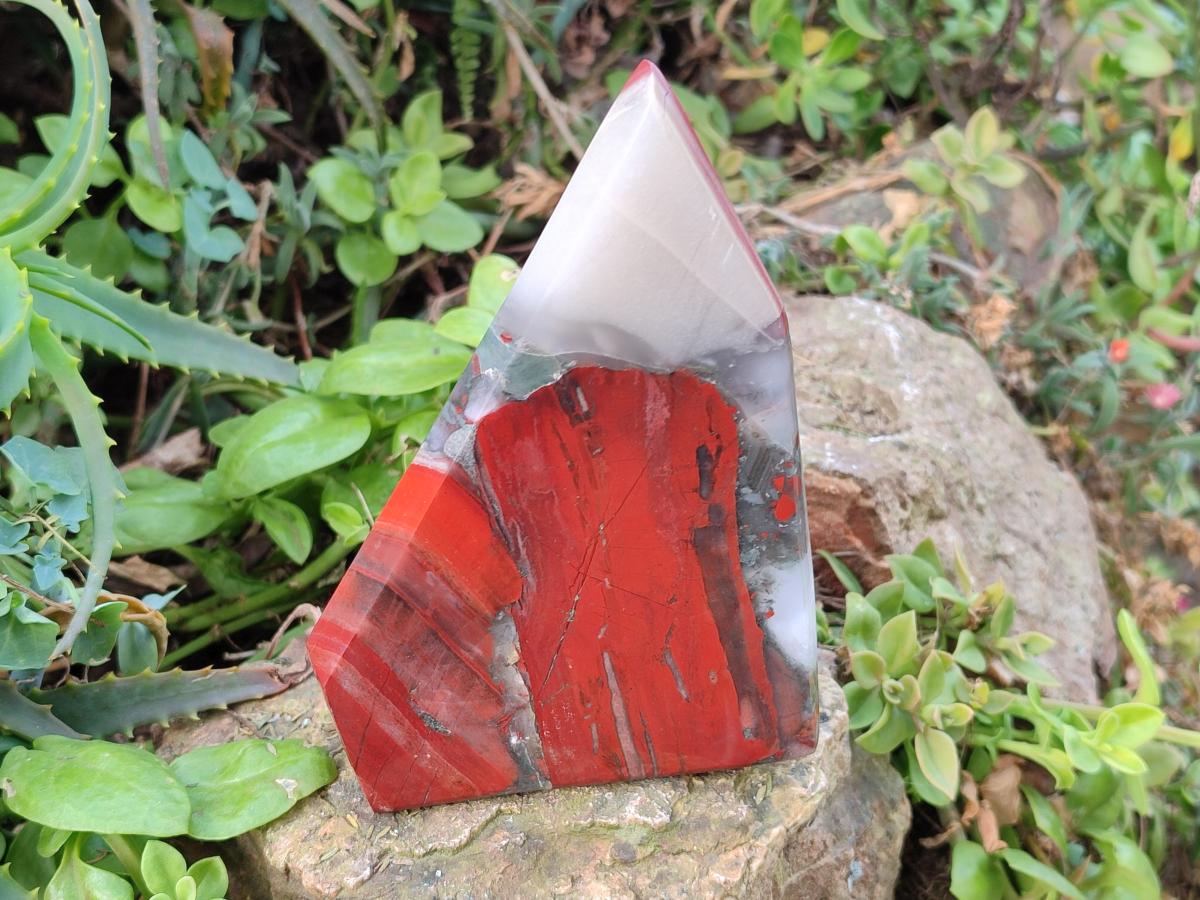 Polished Large Bloodstone Display Crystal x 1 From Swaziland